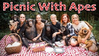 WILD FAMILY PICNIC WITH APES  Myrtle Beach Safari [upl. by Arundel846]