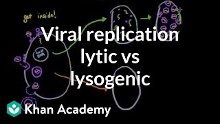 Viral replication lytic vs lysogenic  Cells  MCAT  Khan Academy [upl. by Alolomo]