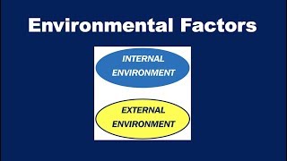 What are Environmental Factors [upl. by Melisa155]