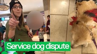 Argument after Girl Tries to Pet Service Dog [upl. by Bill]