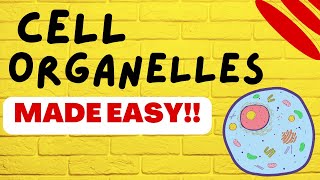 Cell Biology Cell Organelles explained in 5 minutes [upl. by Fasta]