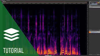 Fixing Unwanted Plosive Sounds and LF Control  SpectraLayers Elements Tutorials [upl. by Ynoffit]