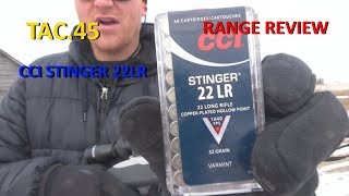 CCI STINGER 22LR AMMUNITION REVIEW [upl. by Acinhoj283]