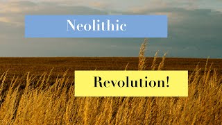 How The Neolithic Revolution Changed Human History [upl. by Stryker]