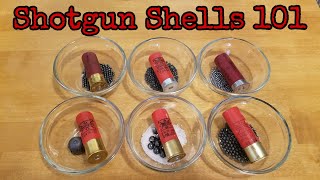 Shotgun Shells 101 [upl. by Mecke]