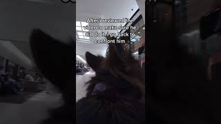 I Went Full Karen on This Guy at The Mall for Harassing My Service Dog [upl. by Esnahc]