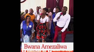 Bwana Amezaliwa [upl. by Eitra]