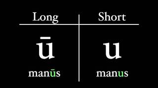 The Latin Alphabet  Vowel Pronunciation [upl. by Fadas666]