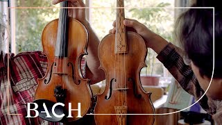 The Baroque violin and bow  Netherlands Bach Society [upl. by Aivata]