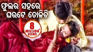 Phula Ra Sahare ଫୁଲ ର ସହରେ  Odia Romantic Song  Album  Bana Harini  Sidharth Music [upl. by Leirea]