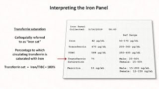 Anemia Lesson 2  Interpreting the Iron Panel [upl. by Raval]