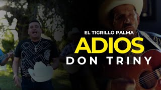 EL TIGRILLO PALMA  Adios Don Triny ESTRENO 2020 [upl. by Enimajneb]