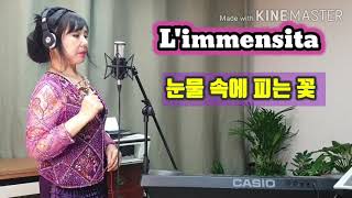 Limmensita 리멘시타cover by Oh Hyunji [upl. by Ellenar]