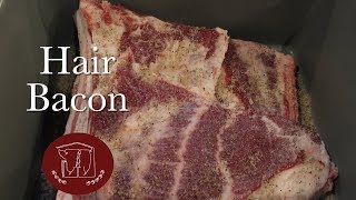 Hair Bacon [upl. by Leach]