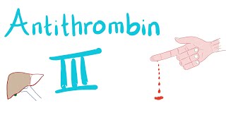 Antithrombin III  How Heparin Works [upl. by Elyn758]