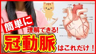 【冠動脈がわかる！】冠動脈の解剖や知識をわかりやすく解説！心臓カテーテル治療に必要な知識はこれ！ [upl. by Aihsoem779]