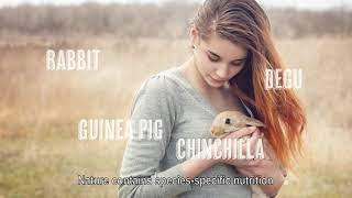 VerseleLaga Nature – a new generation muesli for your animal [upl. by Amikahs]