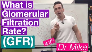 Glomerular Filtration Rate GFR  Renal System [upl. by Lamdin]