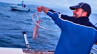 Jornada de Pesca Del Calamar Paso a paso [upl. by Enytsuj]