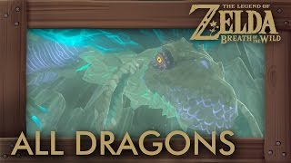 Zelda Breath of the Wild  All Dragon Locations amp Shrine Quests [upl. by Kathlin946]