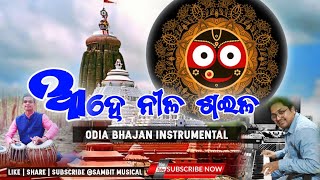 Ahe Nila Saila Instrumental  Odia Jagannatha Bhajan Instrumental  sambitmusical [upl. by Ymac]