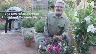 What is the Difference Between Annual and Perennial Plants [upl. by Nibla488]