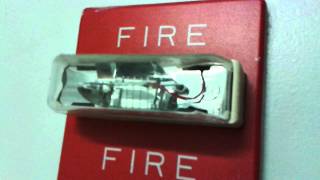 Sound Effect  Fire Alarm [upl. by Atikram117]