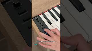 Digital Piano Weighted Keys [upl. by Dur]