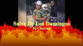 SALSA DOMINGUERAS [upl. by Enail]