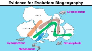 The Evolution of Populations Natural Selection Genetic Drift and Gene Flow [upl. by Yblok]