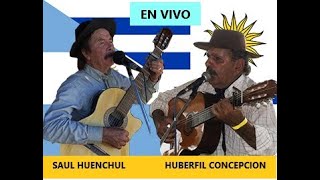 Payada Saul Huenchul y Uberfil Concepcion [upl. by Merline]