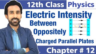 Electric Field Intensity Due to Oppositly Charged Parallel Plates  12th Class Physics [upl. by Vina926]