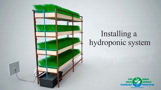 Installing The Hydroponic System [upl. by Haibot]