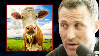 Is Beef TRULY an Ancestral Food  Dr Anthony Chaffee [upl. by Munmro]