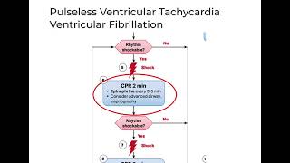 What is Cardiac Arrest [upl. by Arlinda]