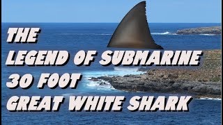 The Legend Of Submarine  30 Foot Great White Shark [upl. by Rawna260]