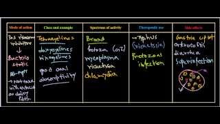 Tetracycline antibiotics [upl. by Akcire]