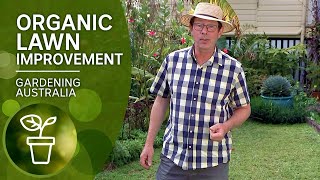 Organic tips to control weeds and improve your lawn [upl. by Chin]