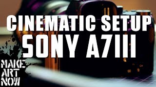 SONY A7III SETUP ALL CINEMATIC FUNCTIONS [upl. by Maxama]