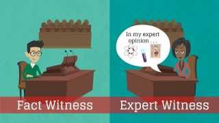 What is an expert witness [upl. by Yht]