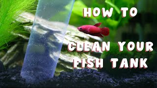 HOW TO CLEAN A FISH TANK  the right way [upl. by Alhahs]