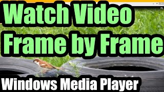 Watch video Frame by Frame Windows Media Player [upl. by Deragon]