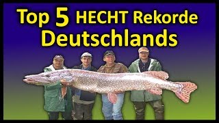 Top 5 Rekord HECHTE Deutschlands  146 Meter Hecht [upl. by Nosa]