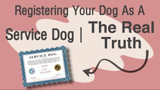 Registering Your Dog As A Service Dog  The Real Truth [upl. by Germayne]