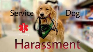 Service Dog Harassment Compilation [upl. by Julianne833]