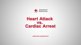 Recognising Cardiac Arrest animation project 3 of 4 [upl. by Nazus]