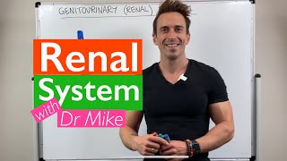 Renal System  Overview [upl. by Sopher]