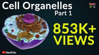 Cell Organelles  Part 1  Animation Video  Iken Edu [upl. by Airaet]