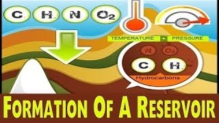 Formation Of Reservoir Rock  Oil amp Gas Animations [upl. by Eitsyrhc]