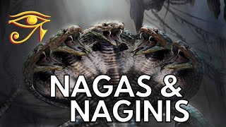 The Nagas amp Naginis  Serpentine Beings of Indian Legend [upl. by Enorel]